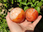 Polished Carnelian Agate Spheres x 3 From Madagascar - Toprock Gemstones and Minerals 