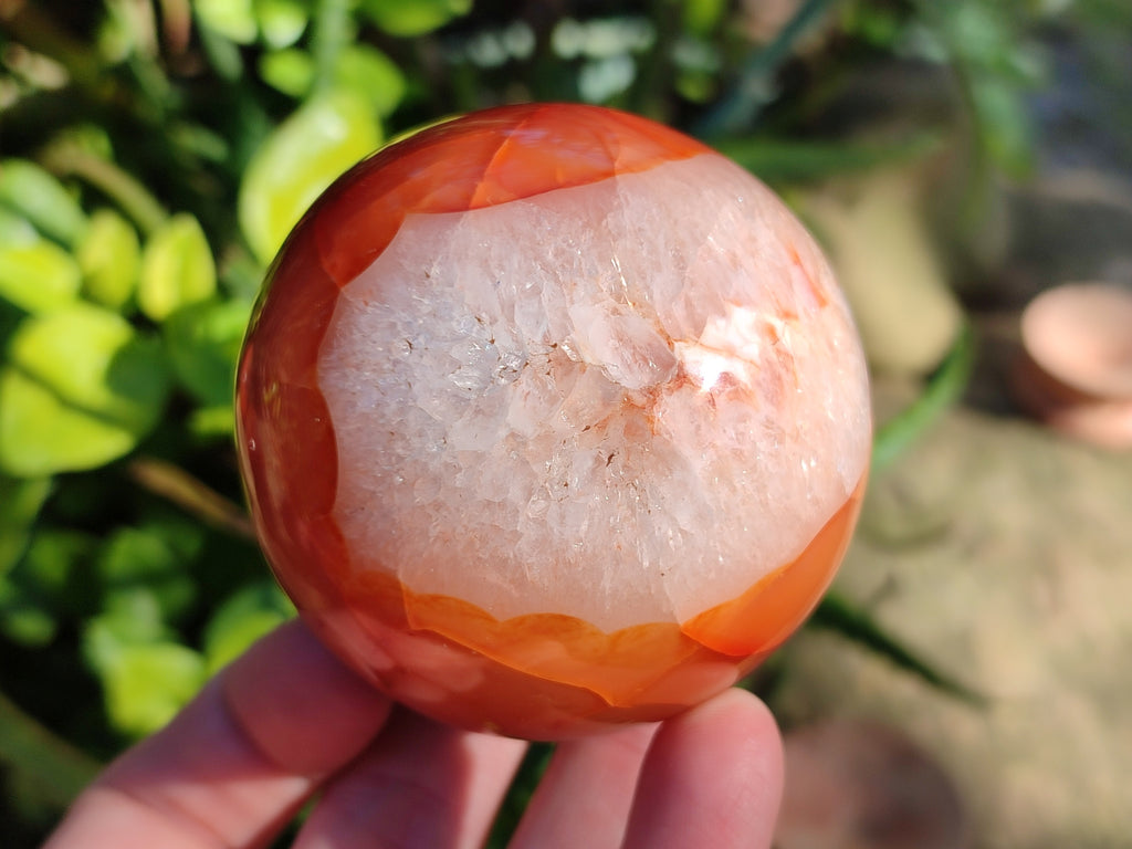Polished Carnelian Agate Spheres x 3 From Madagascar - Toprock Gemstones and Minerals 