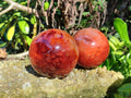 Polished Carnelian Agate Spheres x 3 From Madagascar - Toprock Gemstones and Minerals 