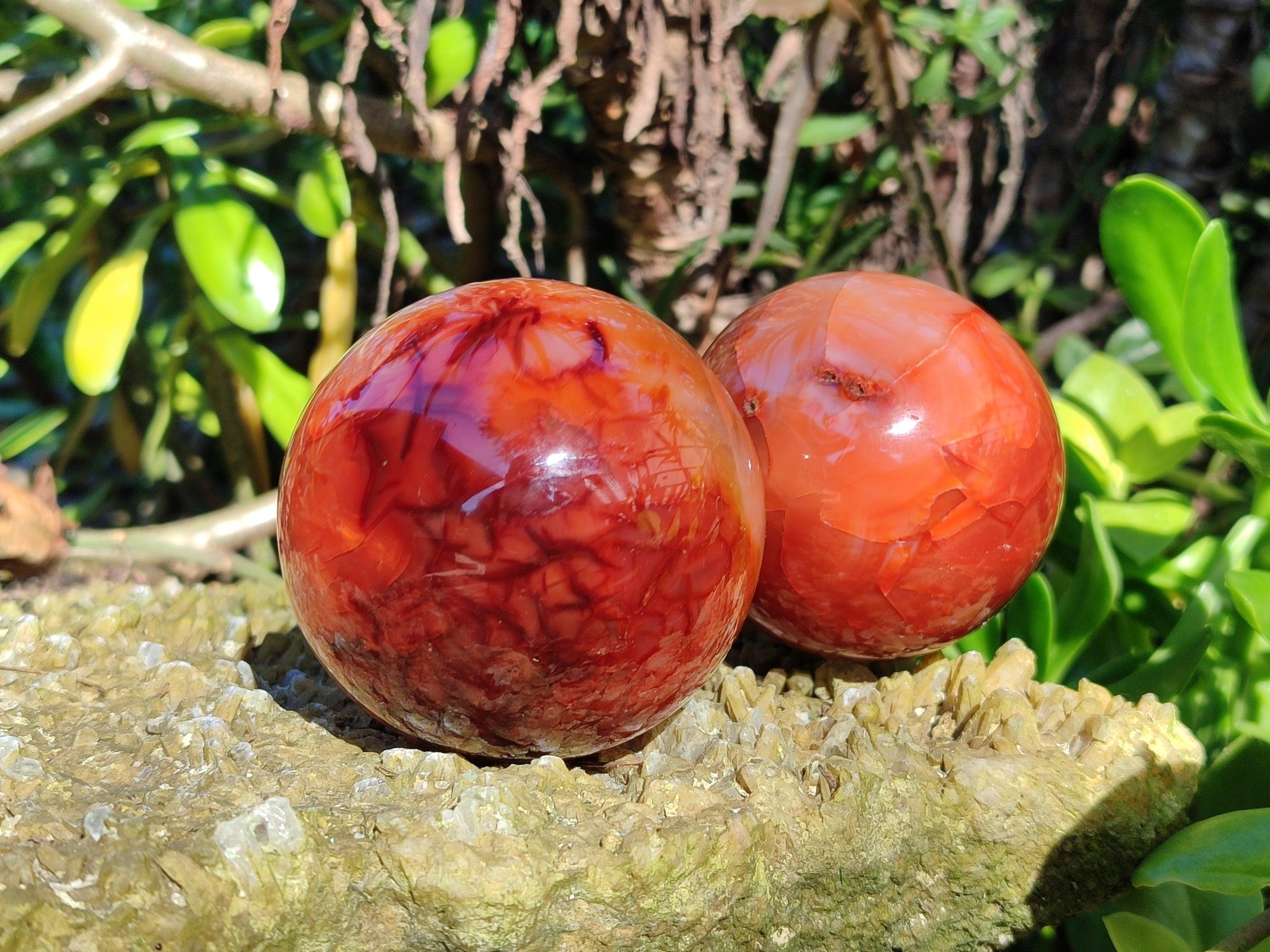 Polished Carnelian Agate Spheres x 3 From Madagascar - Toprock Gemstones and Minerals 