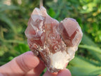 Natural Red Hematoid Quartz Clusters x 12 From Karoi, Zimbabwe - Toprock Gemstones and Minerals 