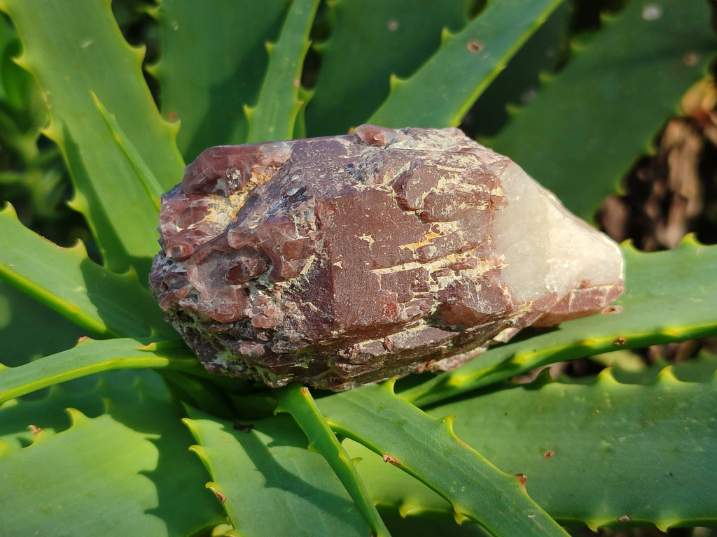 Natural Red Hematoid Quartz Clusters x 12 From Karoi, Zimbabwe - Toprock Gemstones and Minerals 