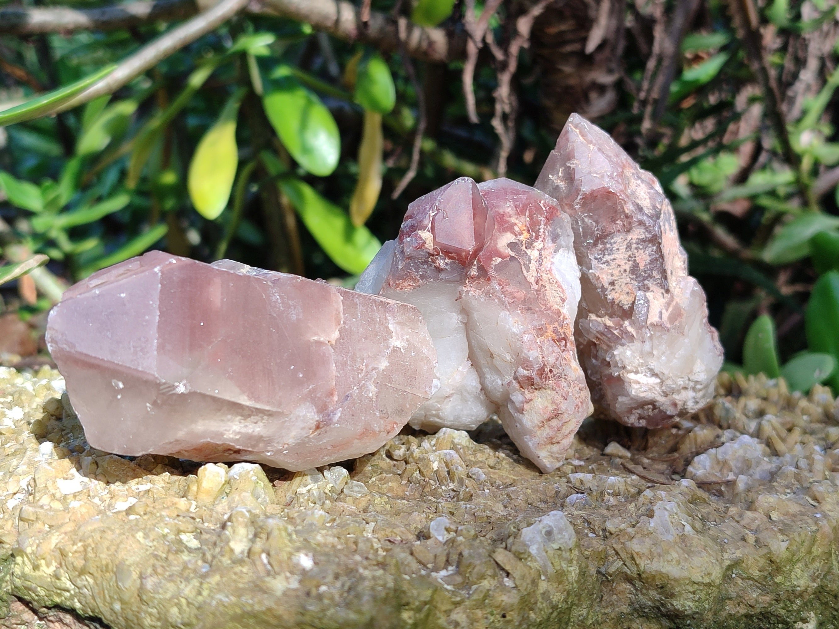 Natural Red Hematoid Quartz Clusters x 12 From Karoi, Zimbabwe - Toprock Gemstones and Minerals 