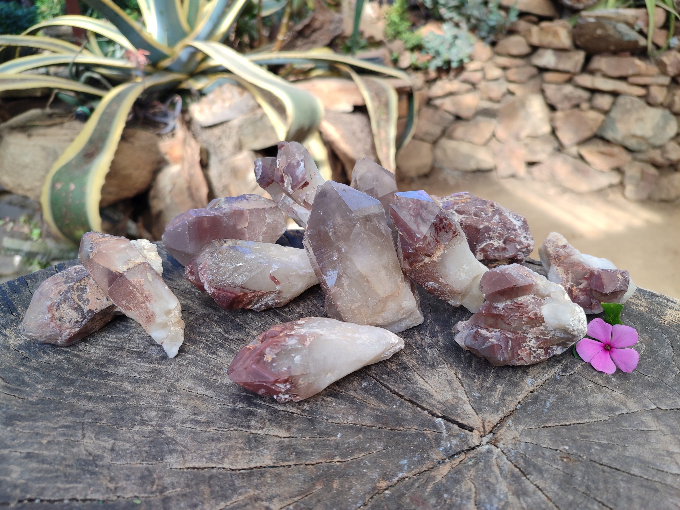 Natural Red Hematoid Quartz Clusters x 12 From Karoi, Zimbabwe - Toprock Gemstones and Minerals 