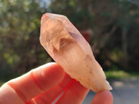 Natural Red Hematoid Quartz Clusters x 12 From Karoi, Zimbabwe