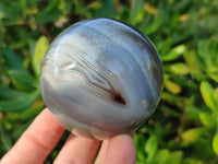Polished Banded Agate Spheres x 4 From Madagascar - Toprock Gemstones and Minerals 