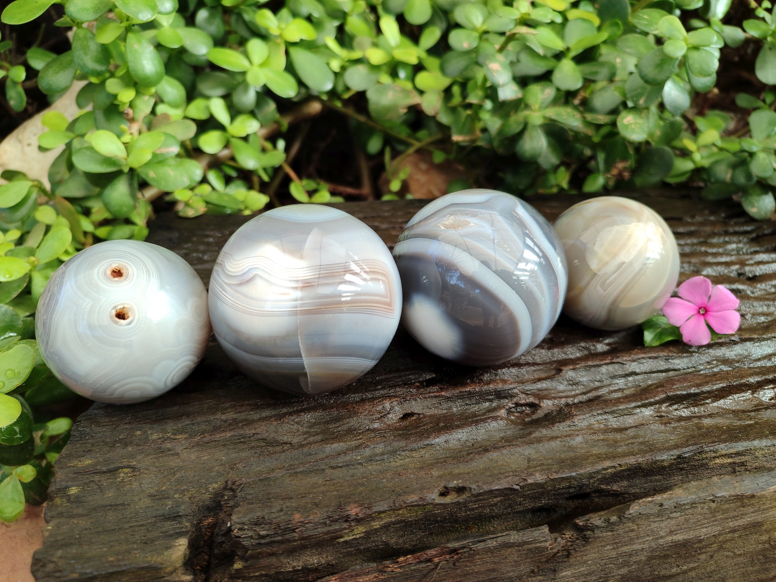 Polished Banded Agate Spheres x 4 From Madagascar - Toprock Gemstones and Minerals 