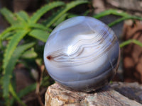 Polished Banded Agate Spheres x 4 From Madagascar - Toprock Gemstones and Minerals 