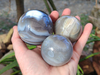 Polished Banded Agate Spheres x 4 From Madagascar - Toprock Gemstones and Minerals 
