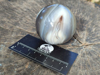 Polished Banded Agate Spheres x 4 From Madagascar - Toprock Gemstones and Minerals 