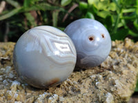 Polished Banded Agate Spheres x 4 From Madagascar - Toprock Gemstones and Minerals 