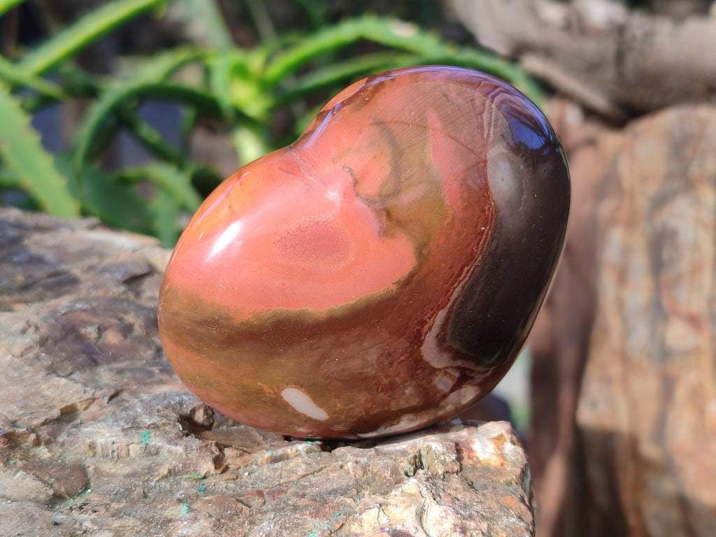 Polished Polychrome Jasper Gemstone Hearts x 6 From Madagascar - Toprock Gemstones and Minerals 