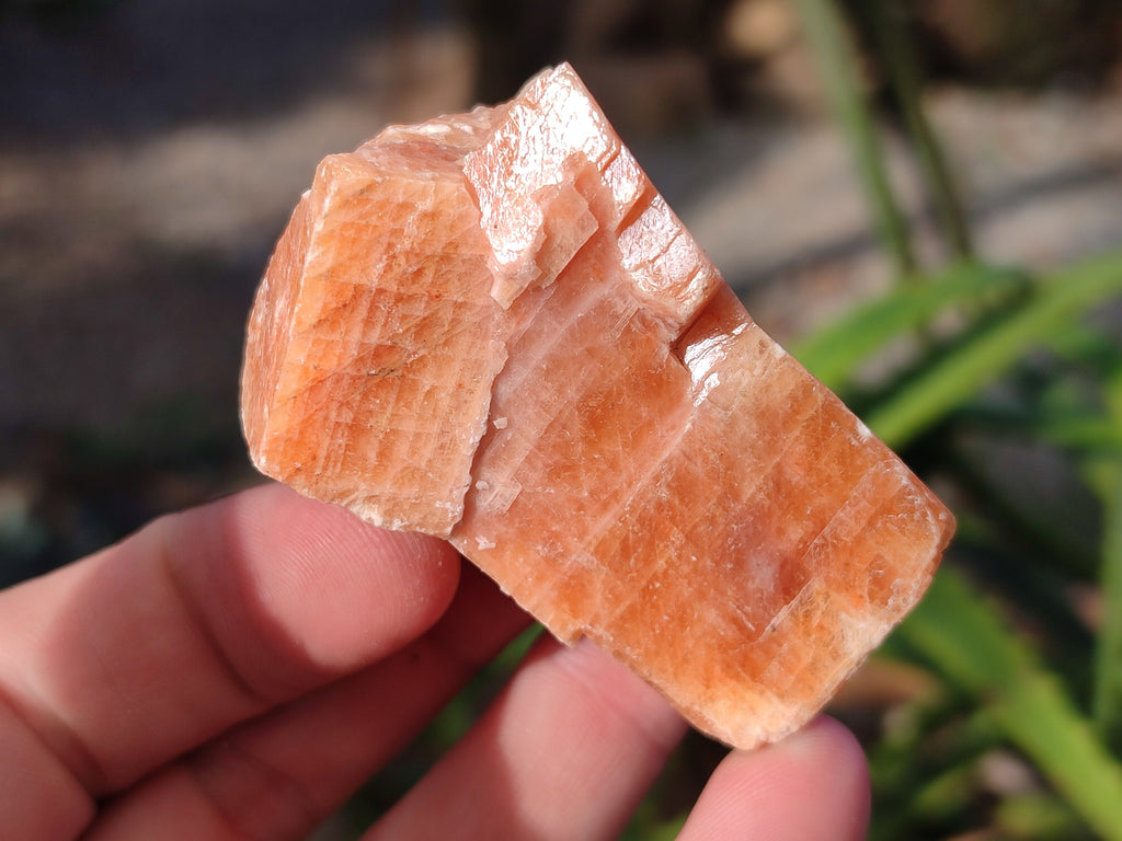 Natural Rhombohedral Sunset Orange Calcite Specimens x 35 From Spitzkop, Namibia - Toprock Gemstones and Minerals 