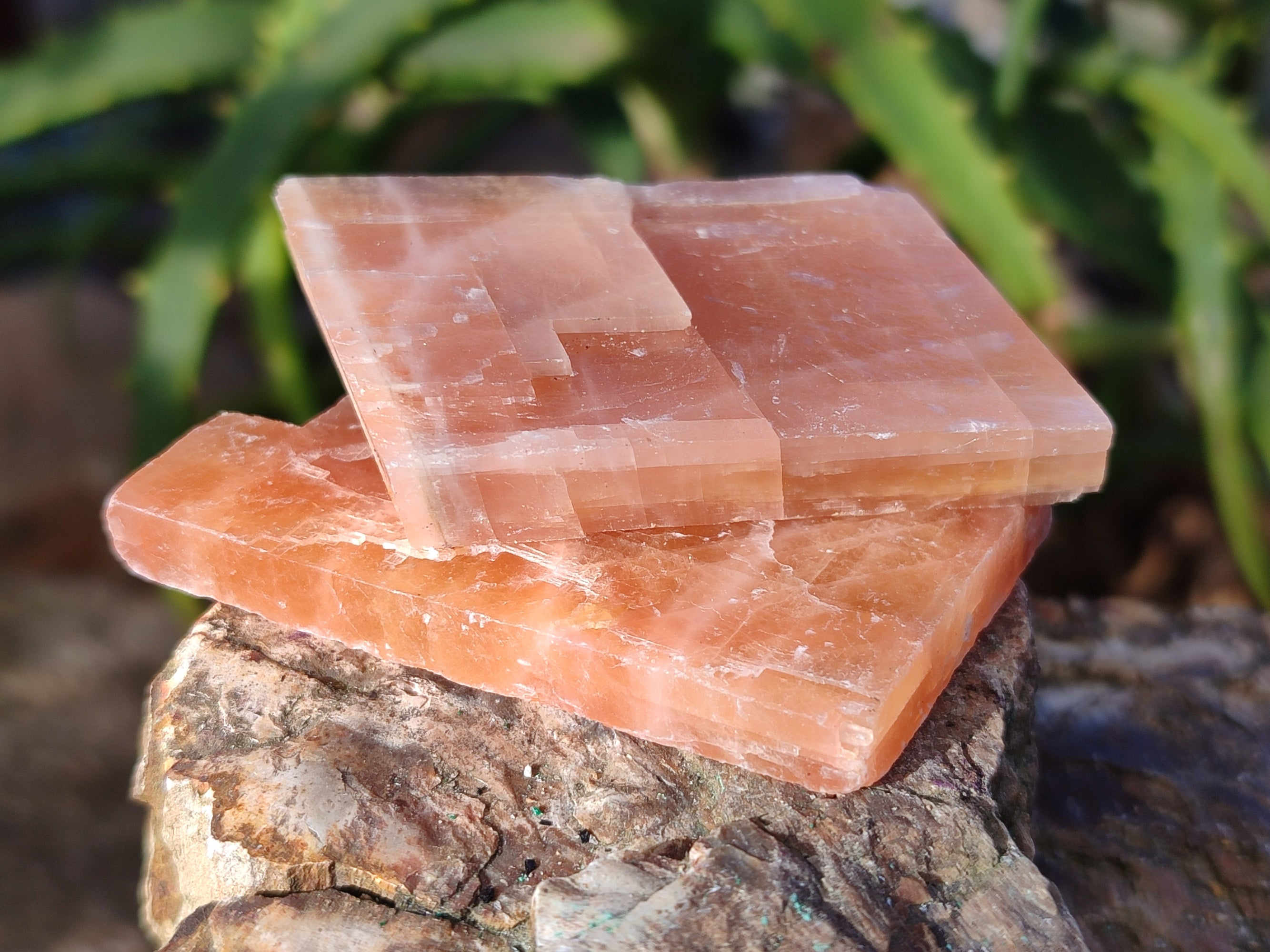 Natural Rhombohedral Sunset Orange Calcite Specimens x 35 From Spitzkop, Namibia - Toprock Gemstones and Minerals 