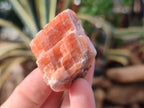 Natural Rhombohedral Sunset Orange Calcite Specimens x 35 From Spitzkop, Namibia - Toprock Gemstones and Minerals 