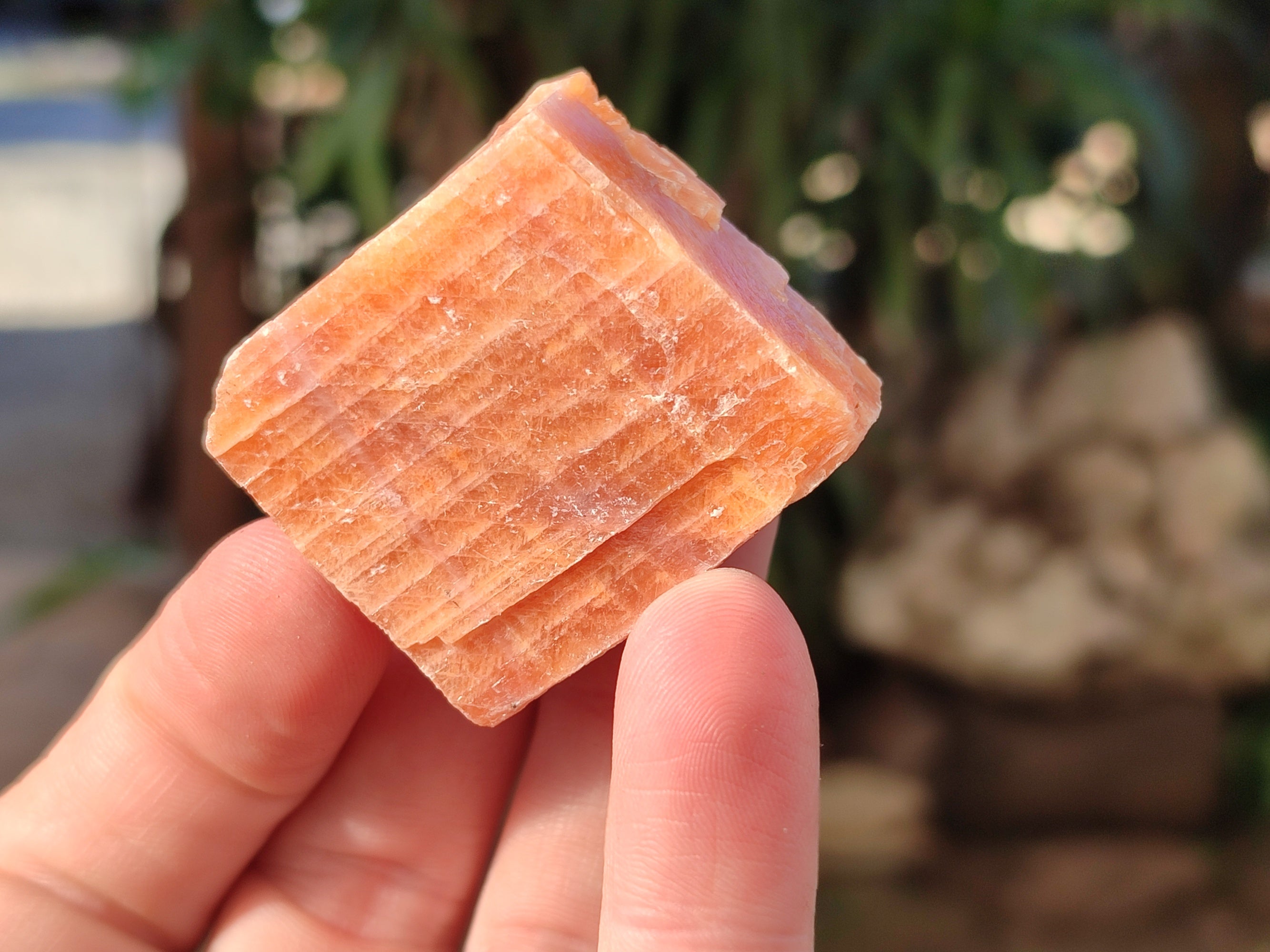 Natural Rhombohedral Sunset Orange Calcite Specimens x 35 From Spitzkop, Namibia - Toprock Gemstones and Minerals 
