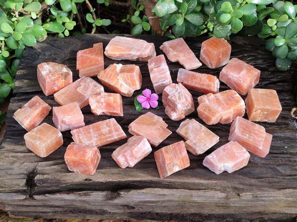 Natural Rhombohedral Sunset Orange Calcite Specimens x 35 From Spitzkop, Namibia - Toprock Gemstones and Minerals 