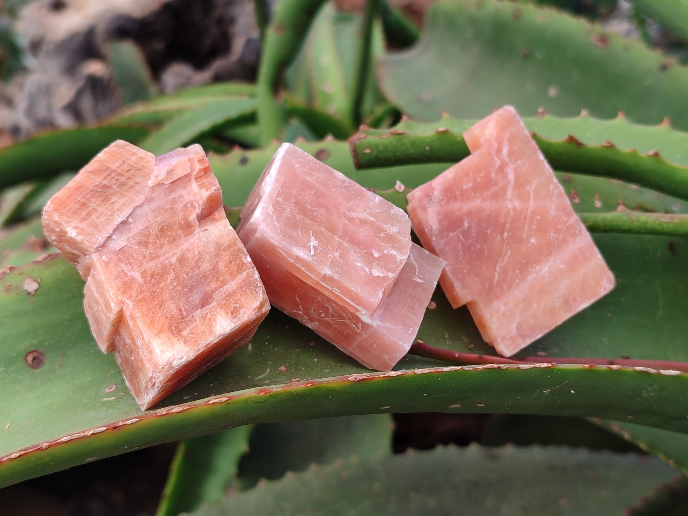 Natural Rhombohedral Sunset Orange Calcite Specimens x 35 From Spitzkop, Namibia - Toprock Gemstones and Minerals 