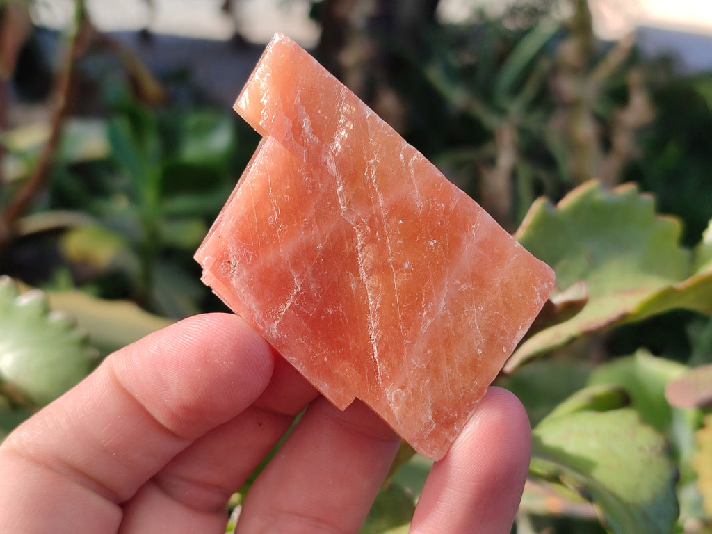 Natural Rhombohedral Sunset Orange Calcite Specimens x 35 From Spitzkop, Namibia - Toprock Gemstones and Minerals 