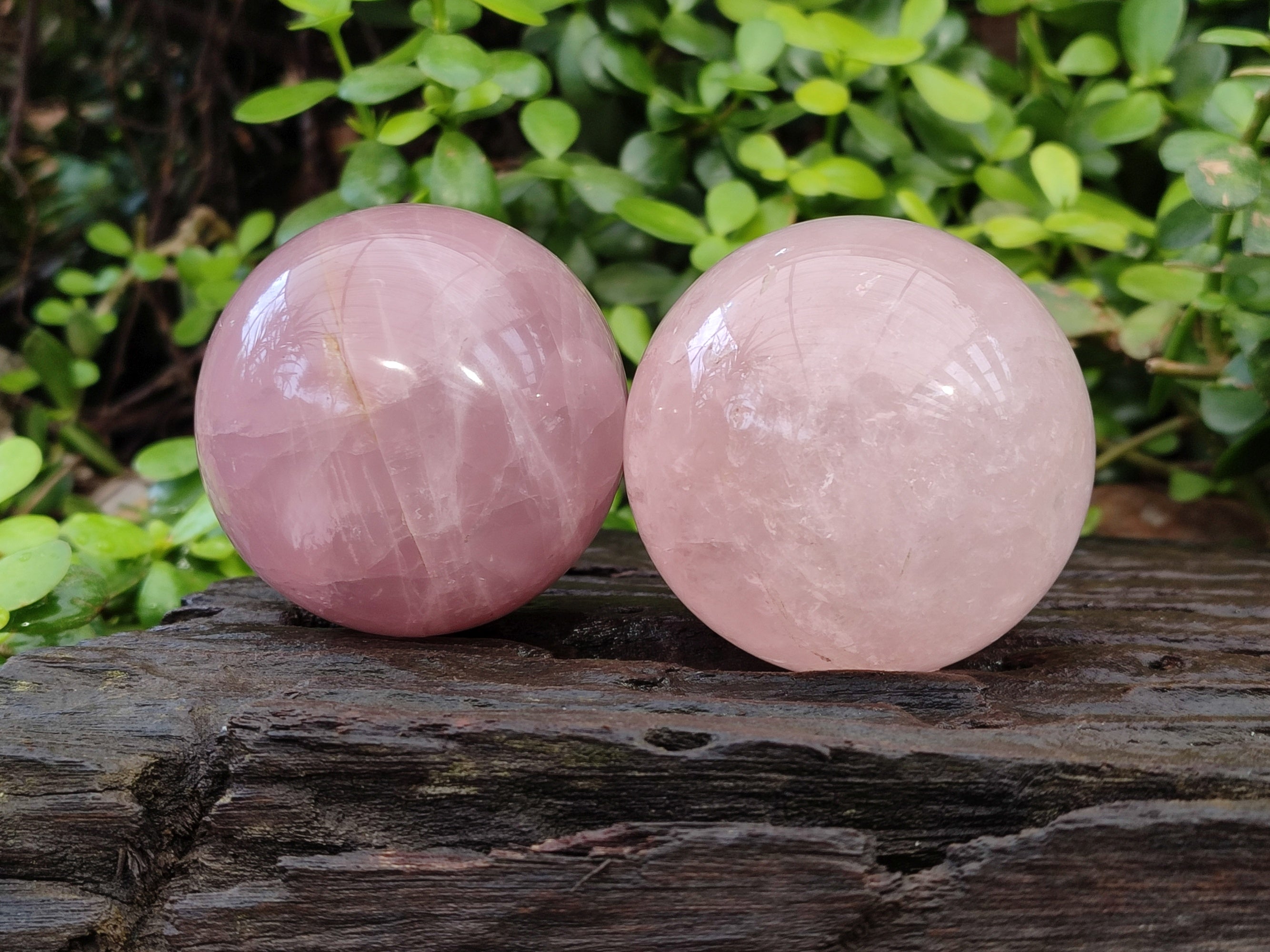 Polished Star Rose Quartz Spheres x 3 From Ambatondrazaka, Madagascar - Toprock Gemstones and Minerals 