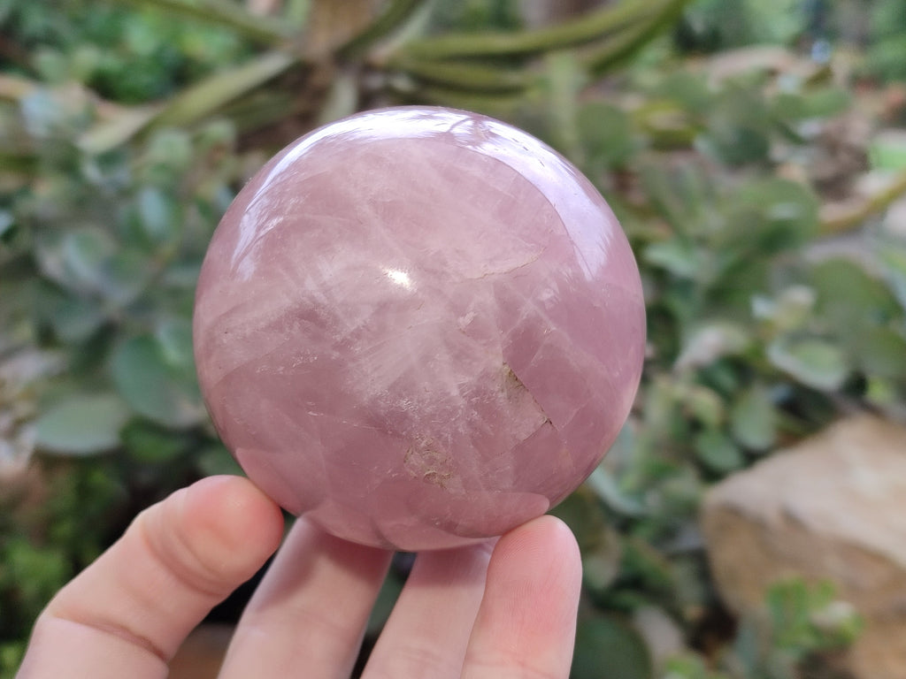 Polished Star Rose Quartz Spheres x 3 From Ambatondrazaka, Madagascar - Toprock Gemstones and Minerals 