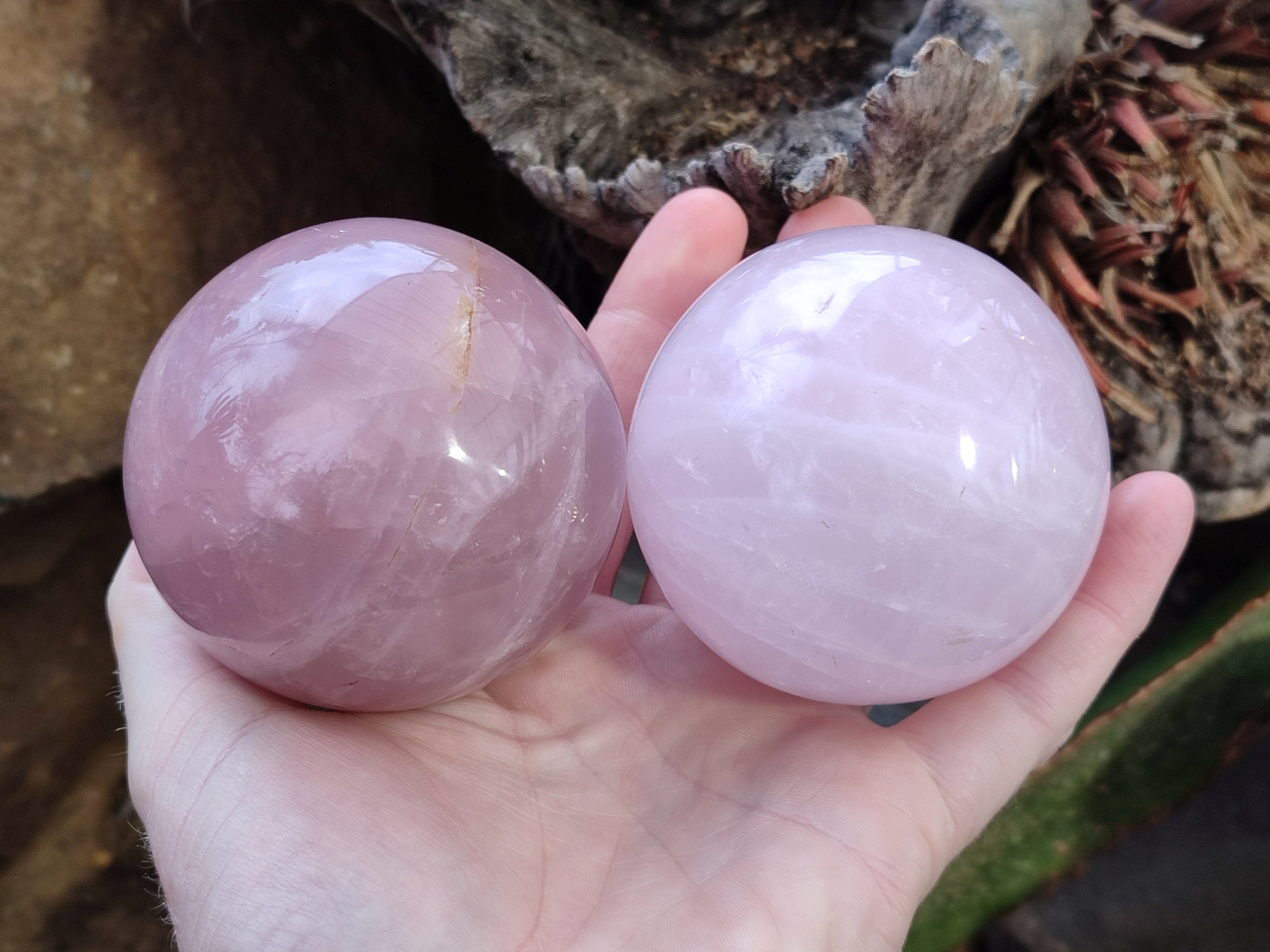 Polished Star Rose Quartz Spheres x 3 From Ambatondrazaka, Madagascar - Toprock Gemstones and Minerals 