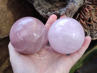 Polished Star Rose Quartz Spheres x 3 From Ambatondrazaka, Madagascar - Toprock Gemstones and Minerals 