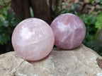 Polished Star Rose Quartz Spheres x 3 From Ambatondrazaka, Madagascar - Toprock Gemstones and Minerals 