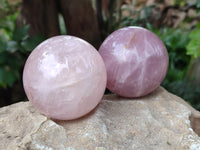 Polished Star Rose Quartz Spheres x 3 From Ambatondrazaka, Madagascar - Toprock Gemstones and Minerals 