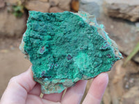 Natural Crystalline Malachite Specimens x 12 From Tenke Fungurume, Congo