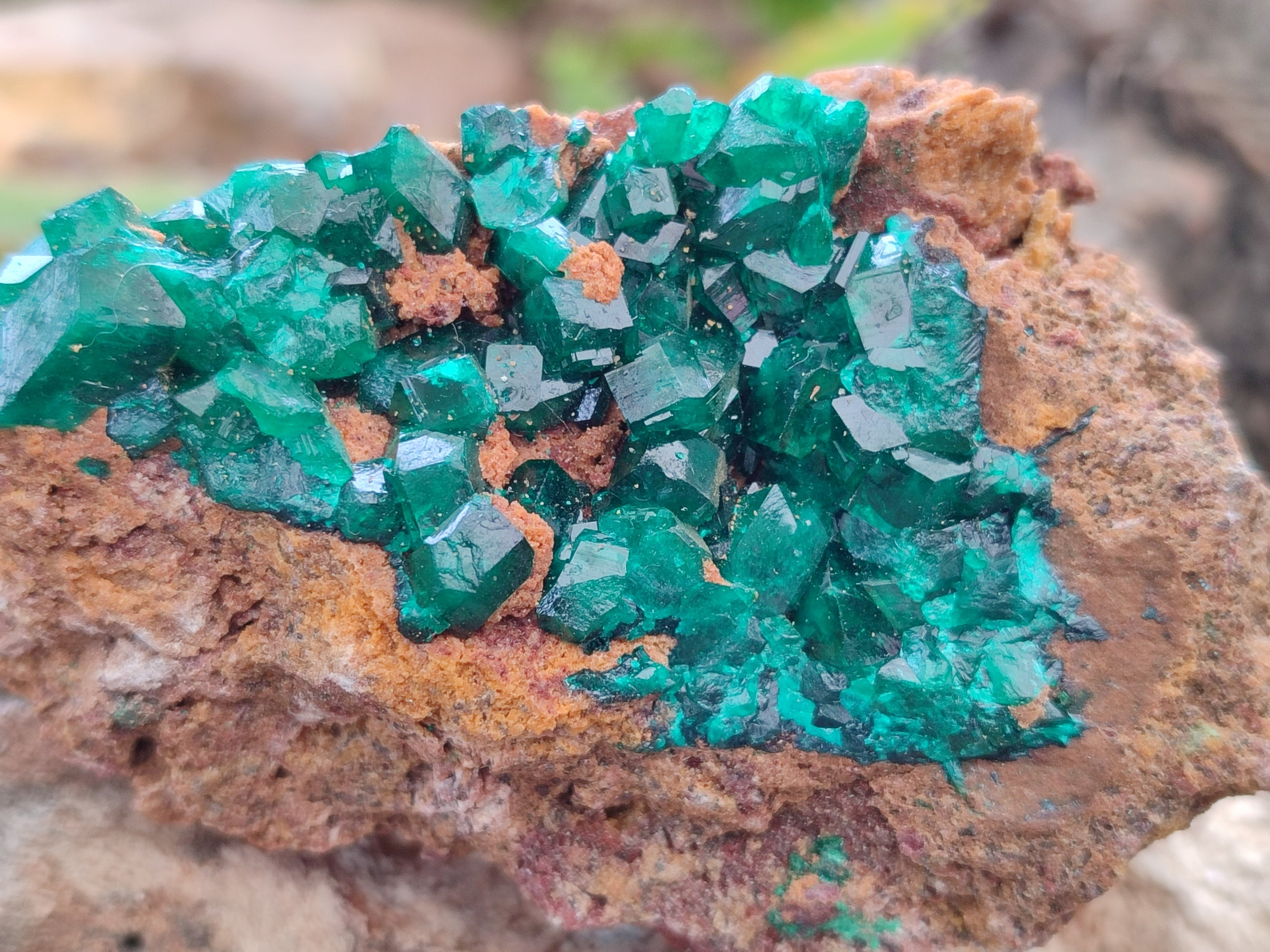 Natural Dioptase Specimens x 6 From Likasi, Congo - Toprock Gemstones and Minerals 