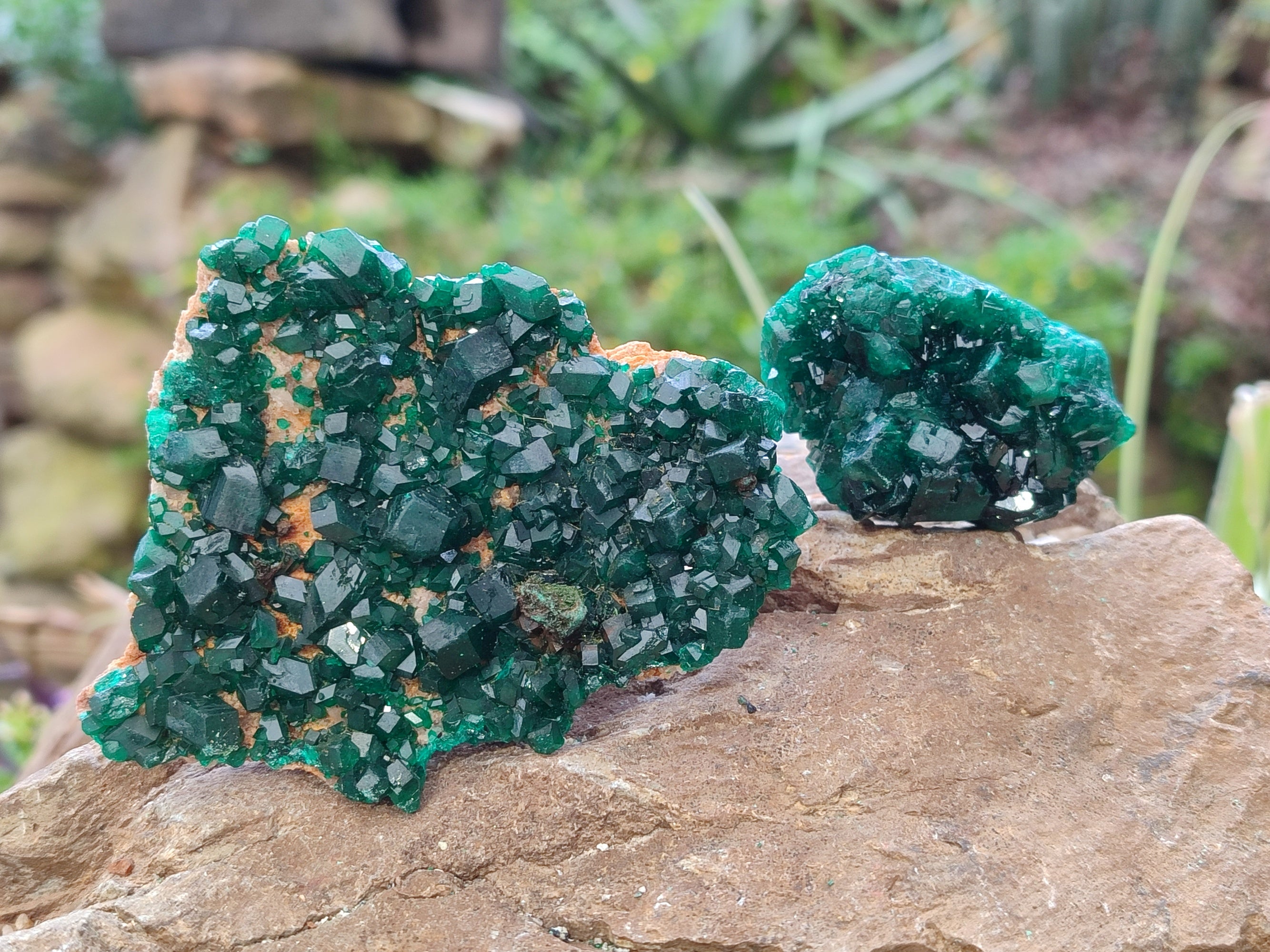 Natural Dioptase Specimens x 6 From Likasi, Congo - Toprock Gemstones and Minerals 