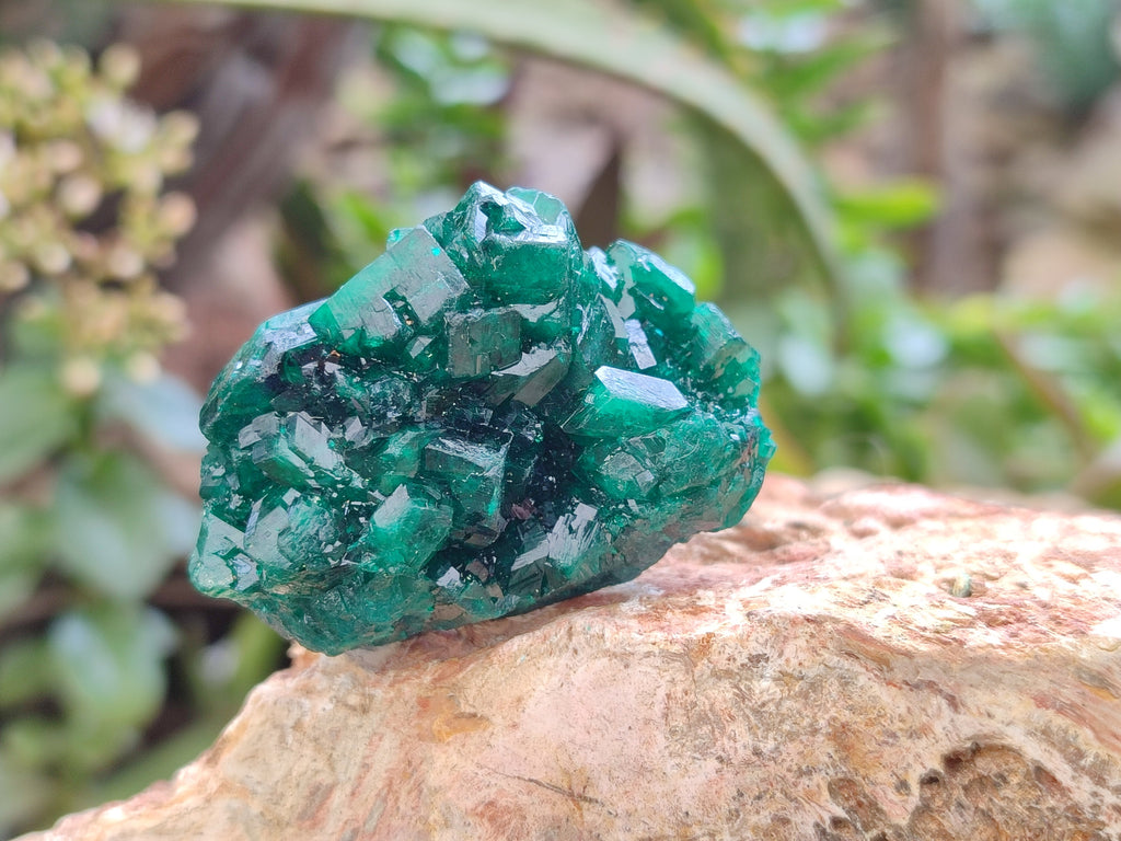 Natural Dioptase Specimens x 6 From Likasi, Congo - Toprock Gemstones and Minerals 