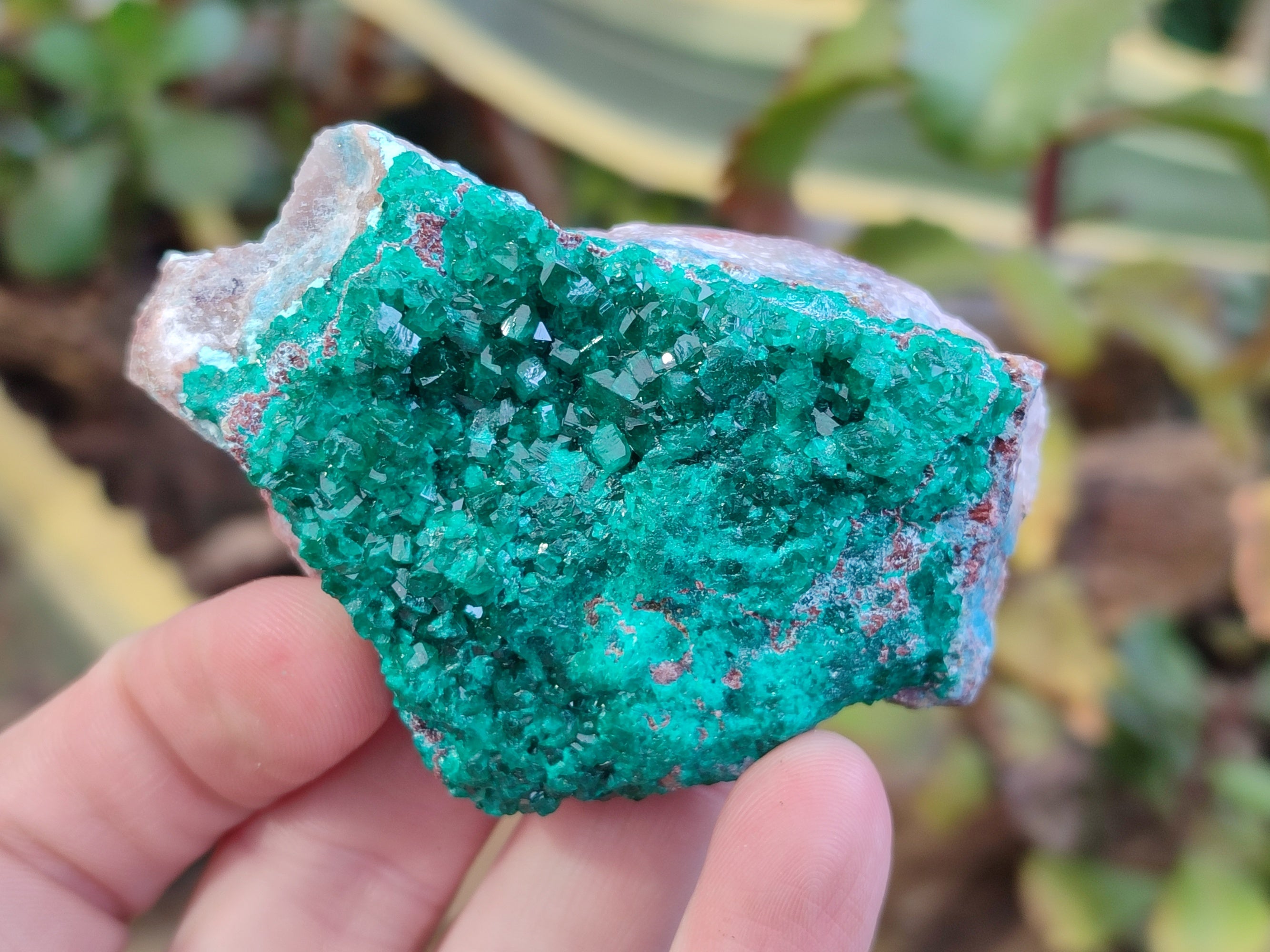 Natural Dioptase Specimens x 6 From Likasi, Congo - Toprock Gemstones and Minerals 