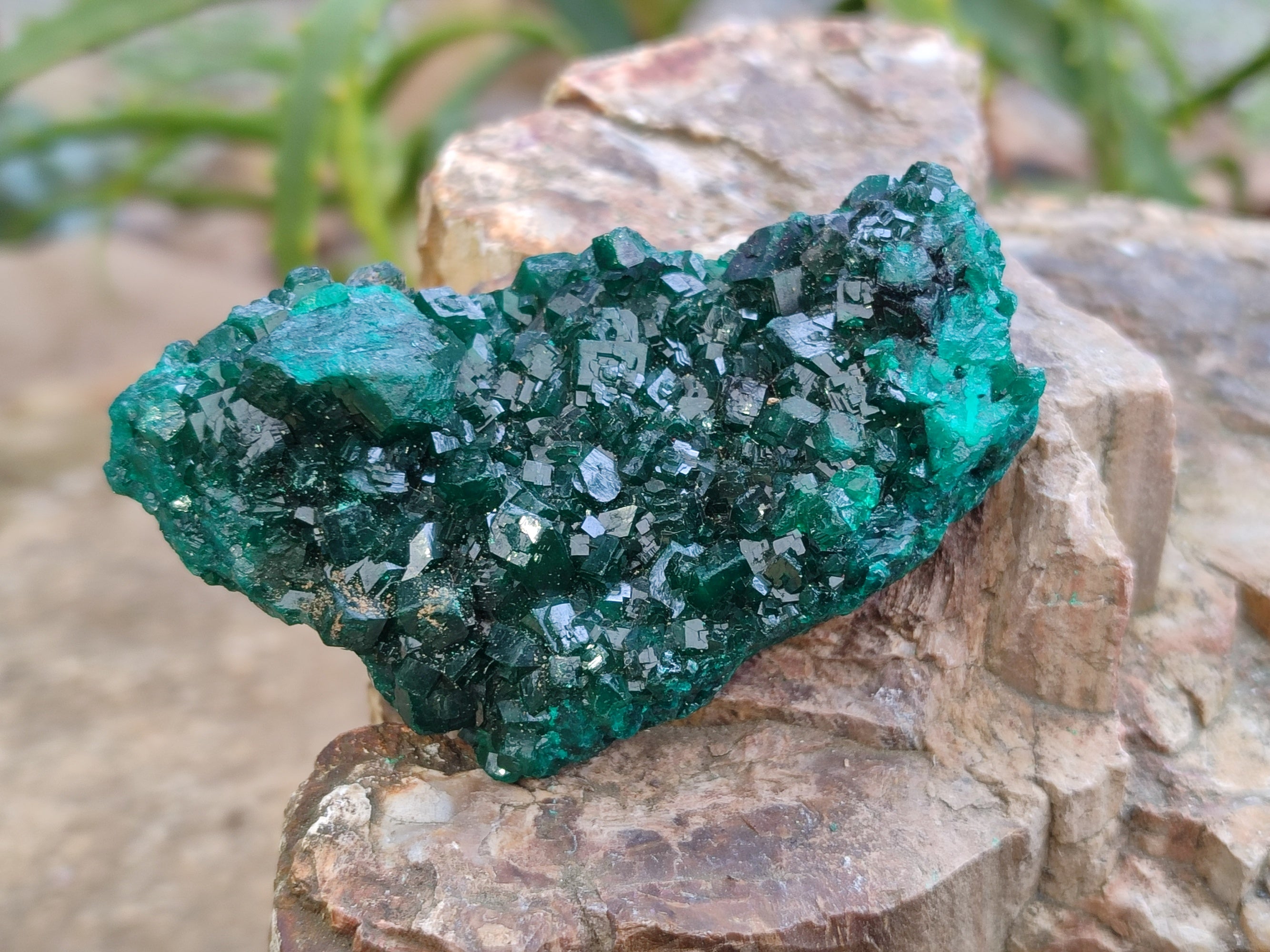 Natural Dioptase Specimens x 6 From Likasi, Congo - Toprock Gemstones and Minerals 