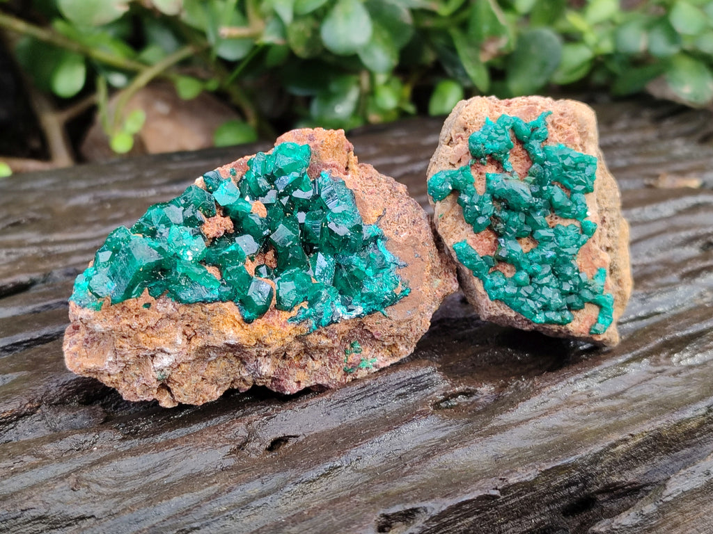 Natural Dioptase Specimens x 6 From Likasi, Congo - Toprock Gemstones and Minerals 