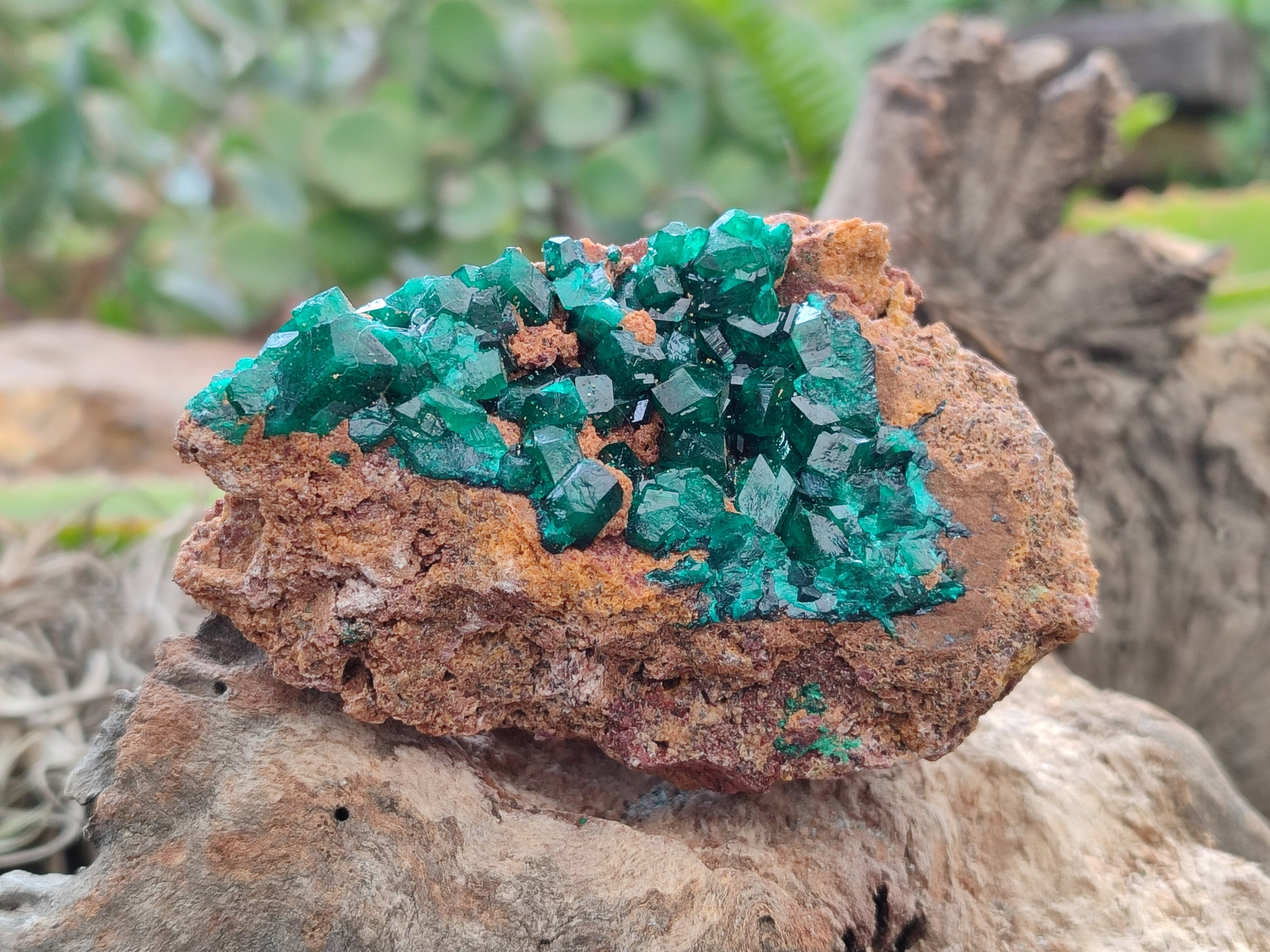 Natural Dioptase Specimens x 6 From Likasi, Congo - Toprock Gemstones and Minerals 