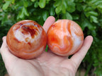 Polished Carnelian Agate Spheres x 3 From Madagascar - Toprock Gemstones and Minerals 