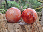Polished Carnelian Agate Spheres x 3 From Madagascar - Toprock Gemstones and Minerals 
