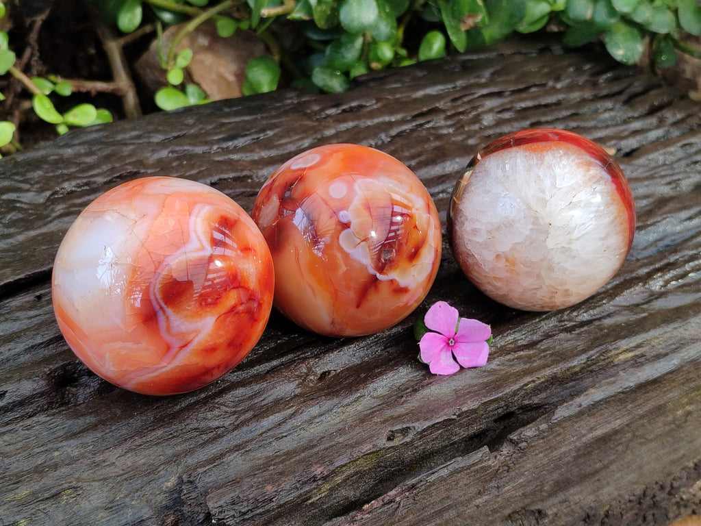 Polished Carnelian Agate Spheres x 3 From Madagascar - Toprock Gemstones and Minerals 