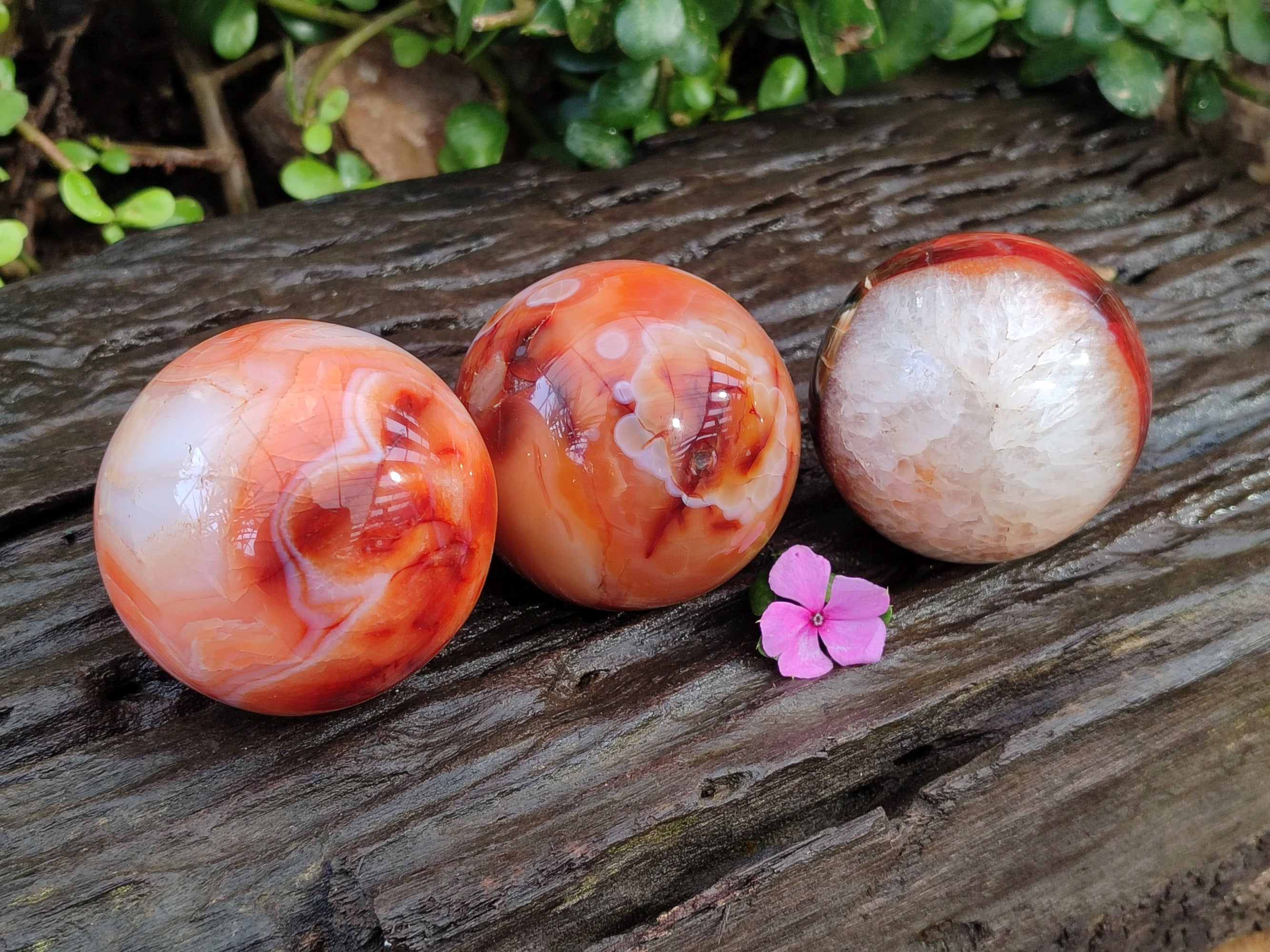 Polished Carnelian Agate Spheres x 3 From Madagascar - Toprock Gemstones and Minerals 