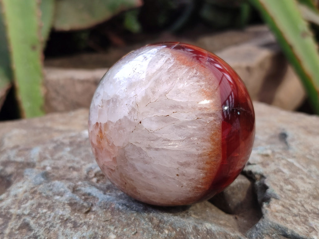 Polished Carnelian Agate Spheres x 3 From Madagascar - Toprock Gemstones and Minerals 