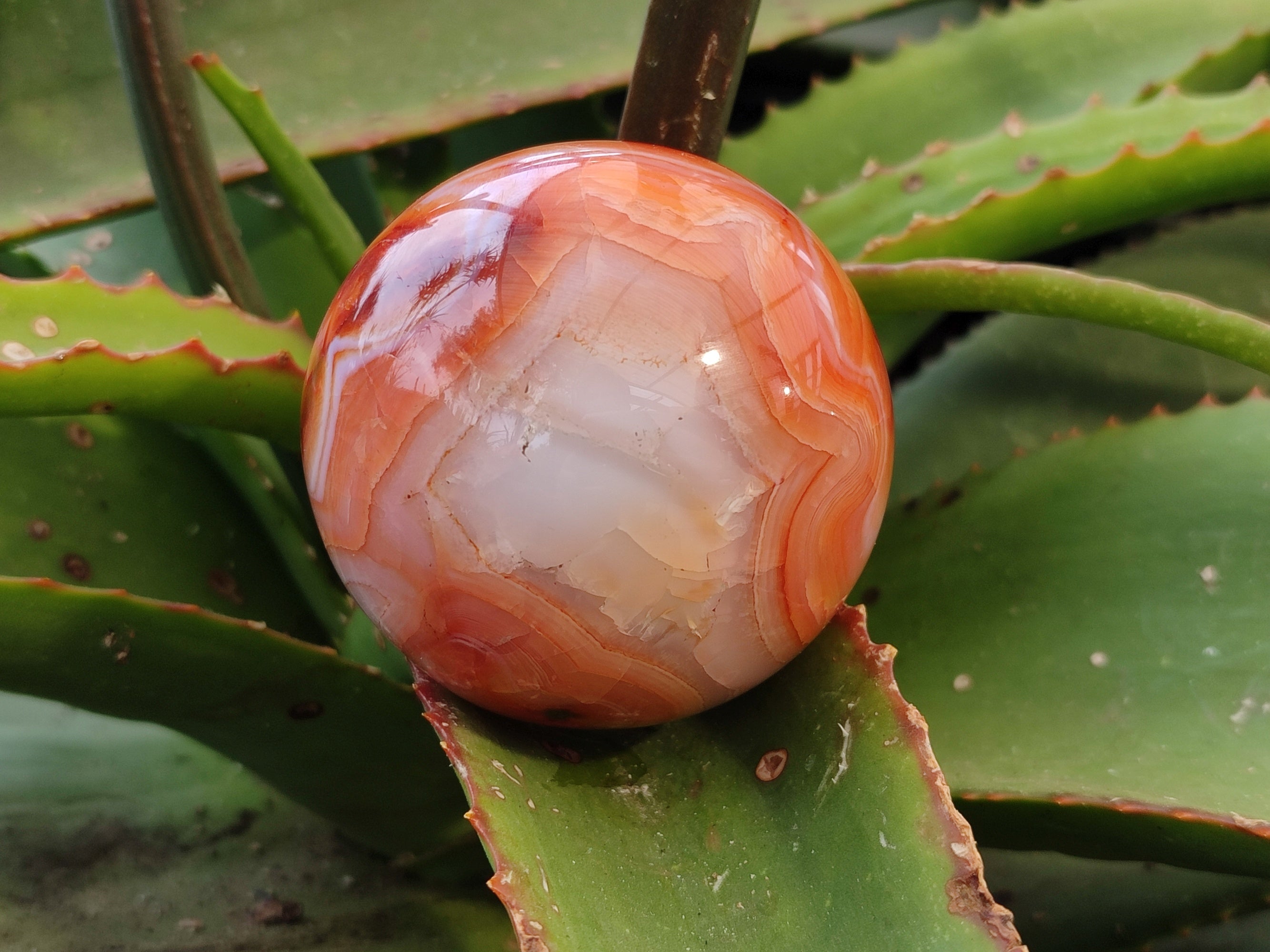 Polished Carnelian Agate Spheres x 3 From Madagascar - Toprock Gemstones and Minerals 