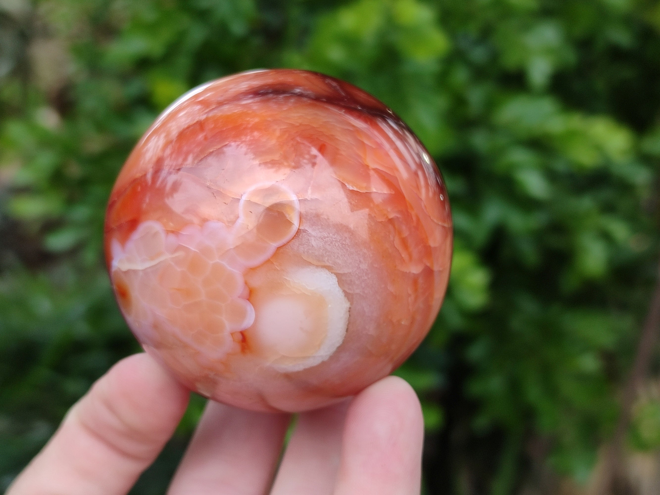 Polished Carnelian Agate Spheres x 3 From Madagascar - Toprock Gemstones and Minerals 