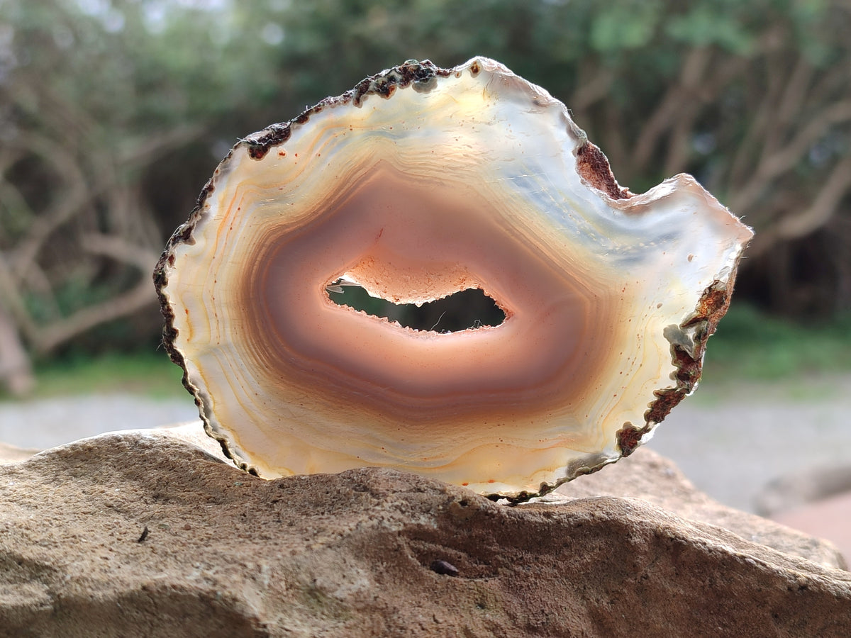 Polished Banded Agate Slices x 12 From Madagascar - Toprock Gemstones and Minerals 
