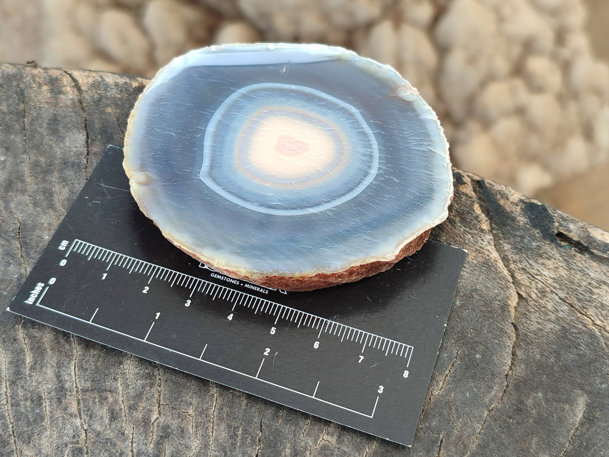 Polished Banded Agate Slices x 12 From Madagascar - Toprock Gemstones and Minerals 