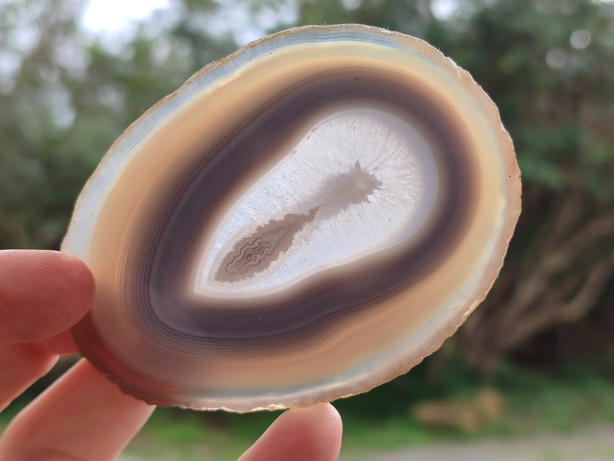 Polished Banded Agate Slices x 12 From Madagascar - Toprock Gemstones and Minerals 