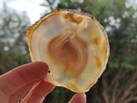 Polished Banded Agate Slices x 12 From Madagascar - Toprock Gemstones and Minerals 
