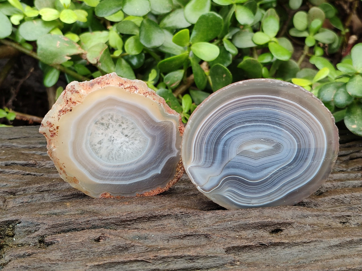Polished Banded Agate Slices x 12 From Madagascar - Toprock Gemstones and Minerals 