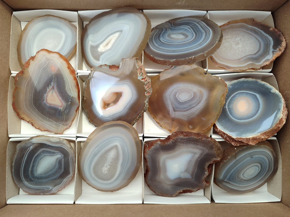 Polished Banded Agate Slices x 12 From Madagascar - Toprock Gemstones and Minerals 